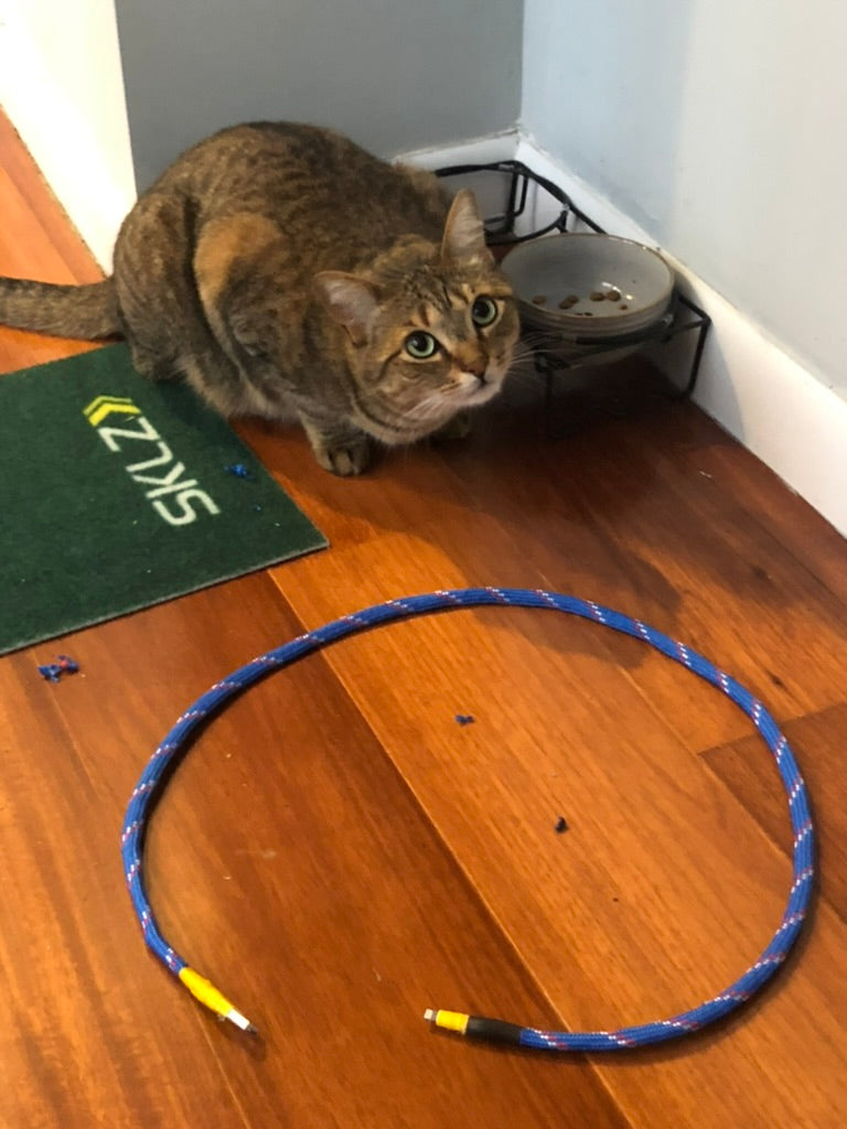 Sustainable Electronics?